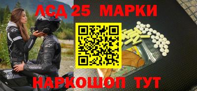 спиды Новозыбков