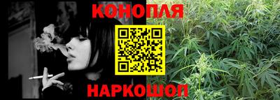 спиды Новозыбков
