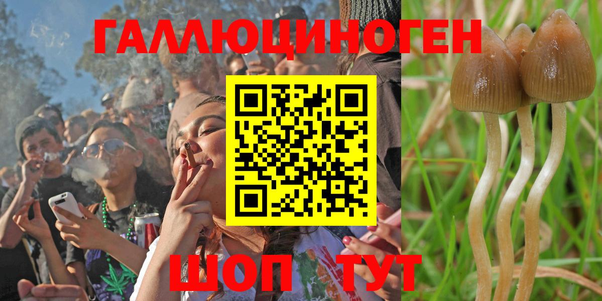 Рославль  Псилоцибиновые грибы мицелий  Вход с VPN  Псилоцибиновые грибы MAGIC MUSHROOMS 
